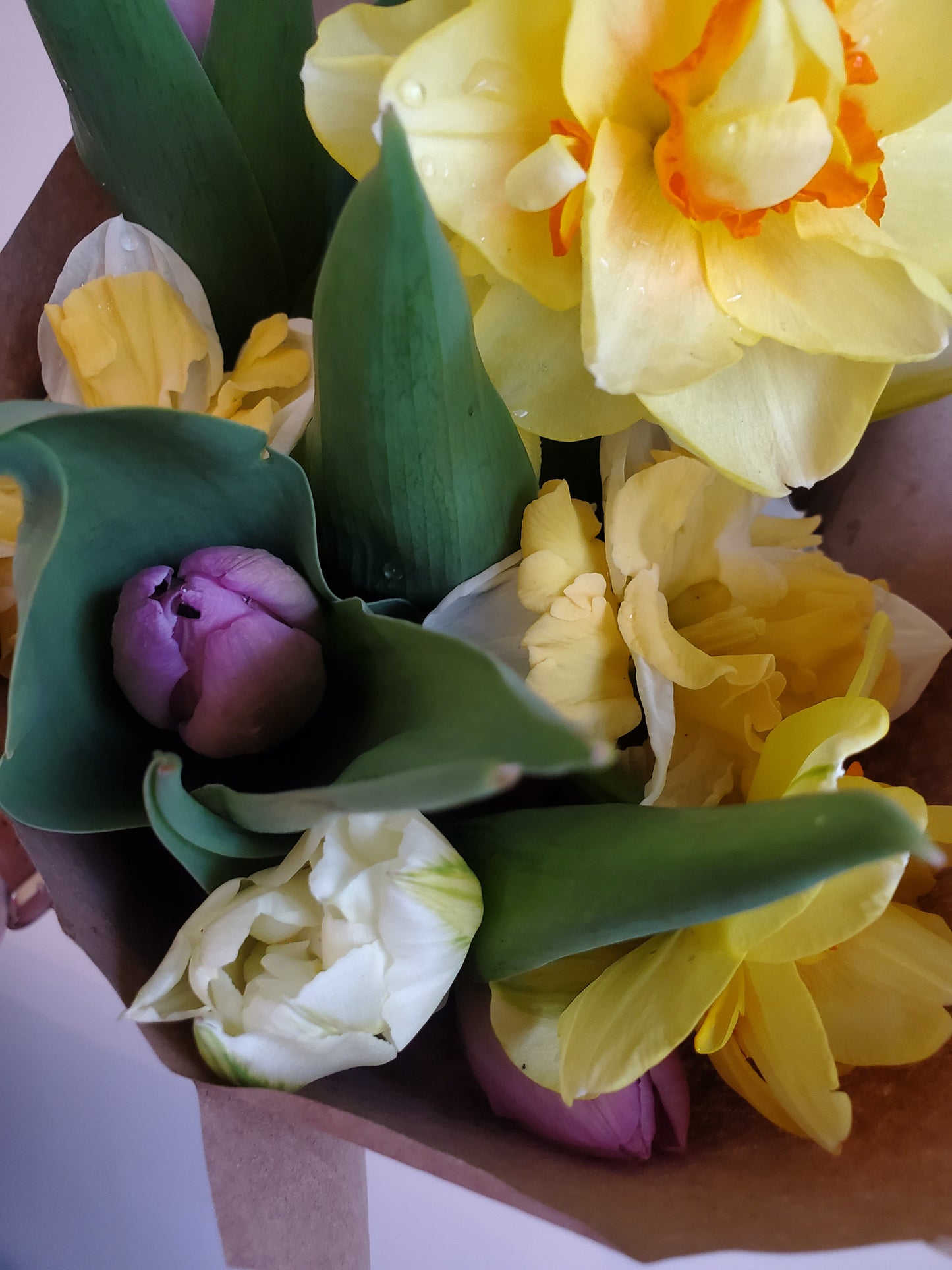 Spring Tulip Bouquet Preorder