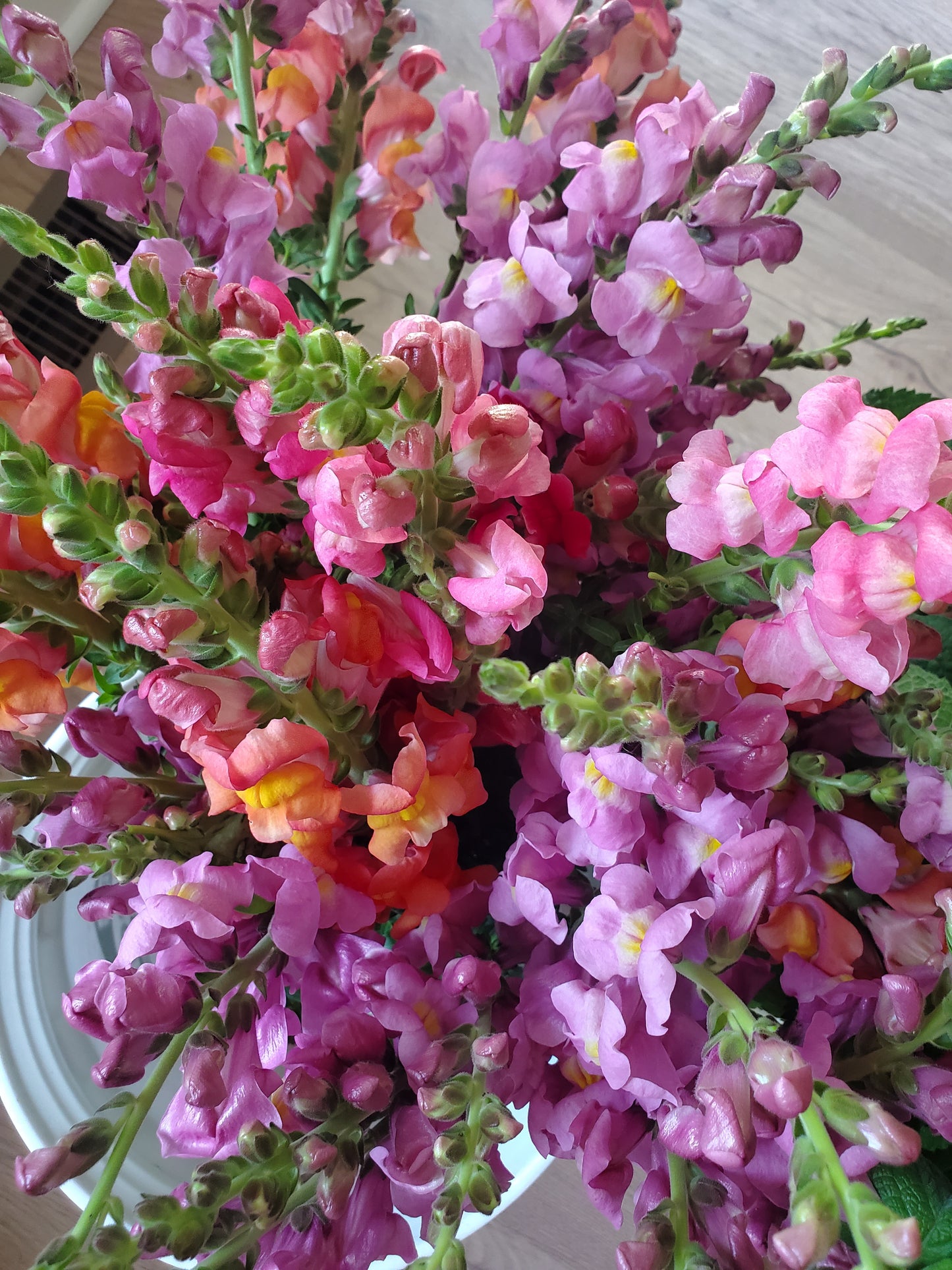 Summer Floral CSA Subscription