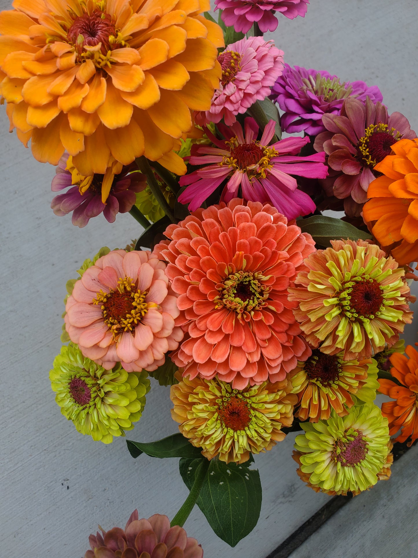 Summer Floral CSA Subscription