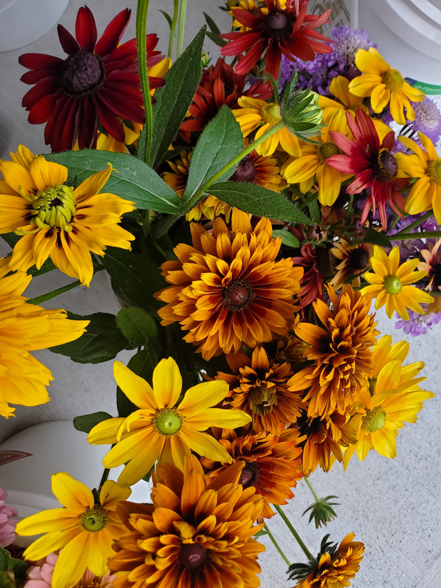Summer Floral CSA Subscription