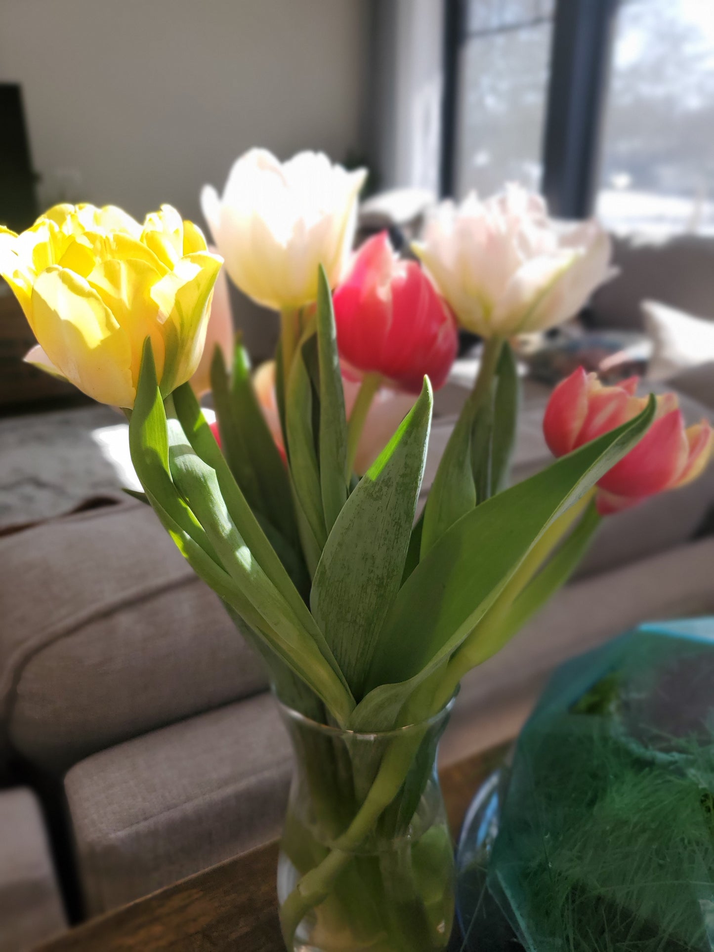 Winter Tulip CSA Subscription