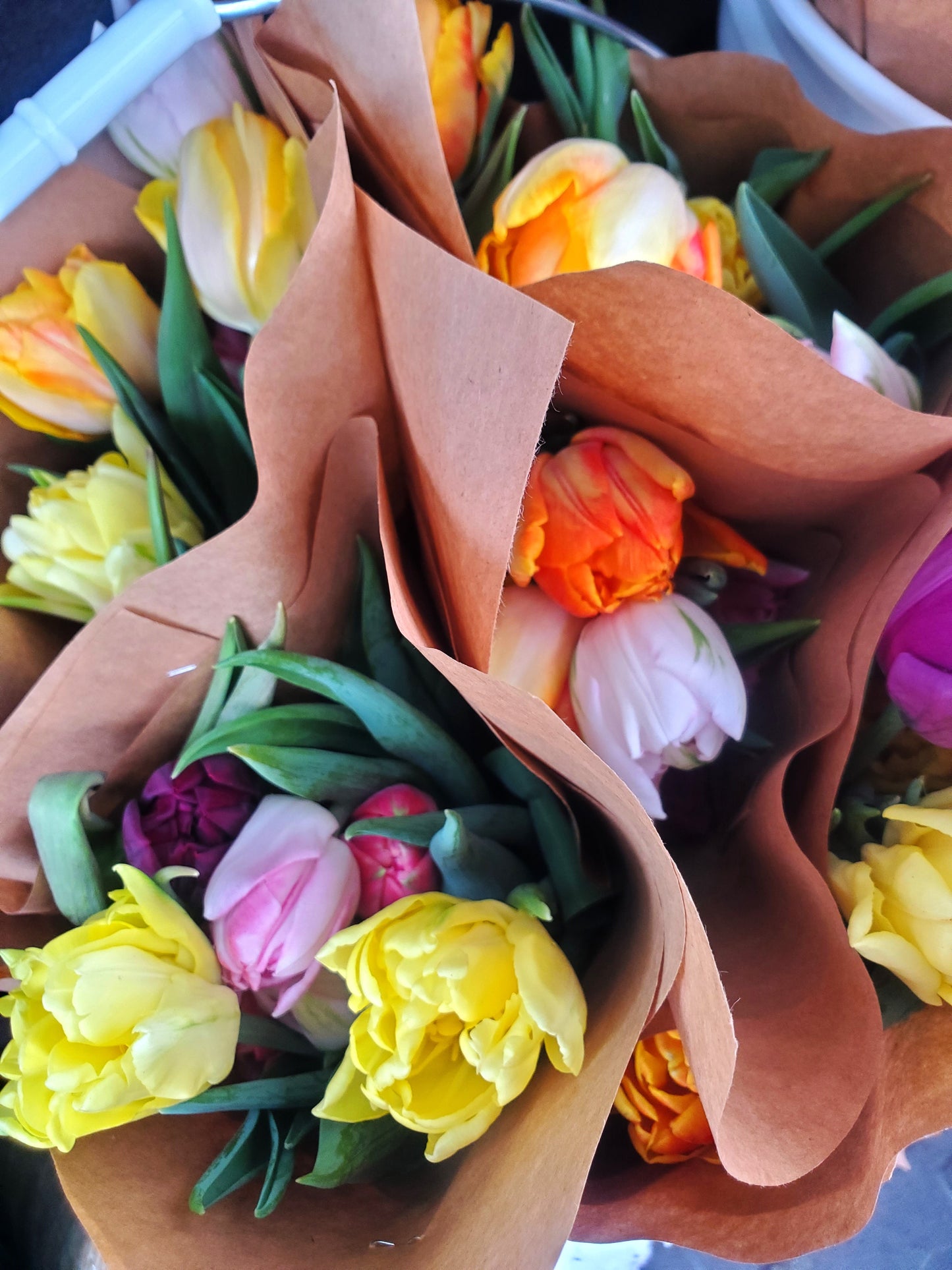Winter Tulip CSA Subscription