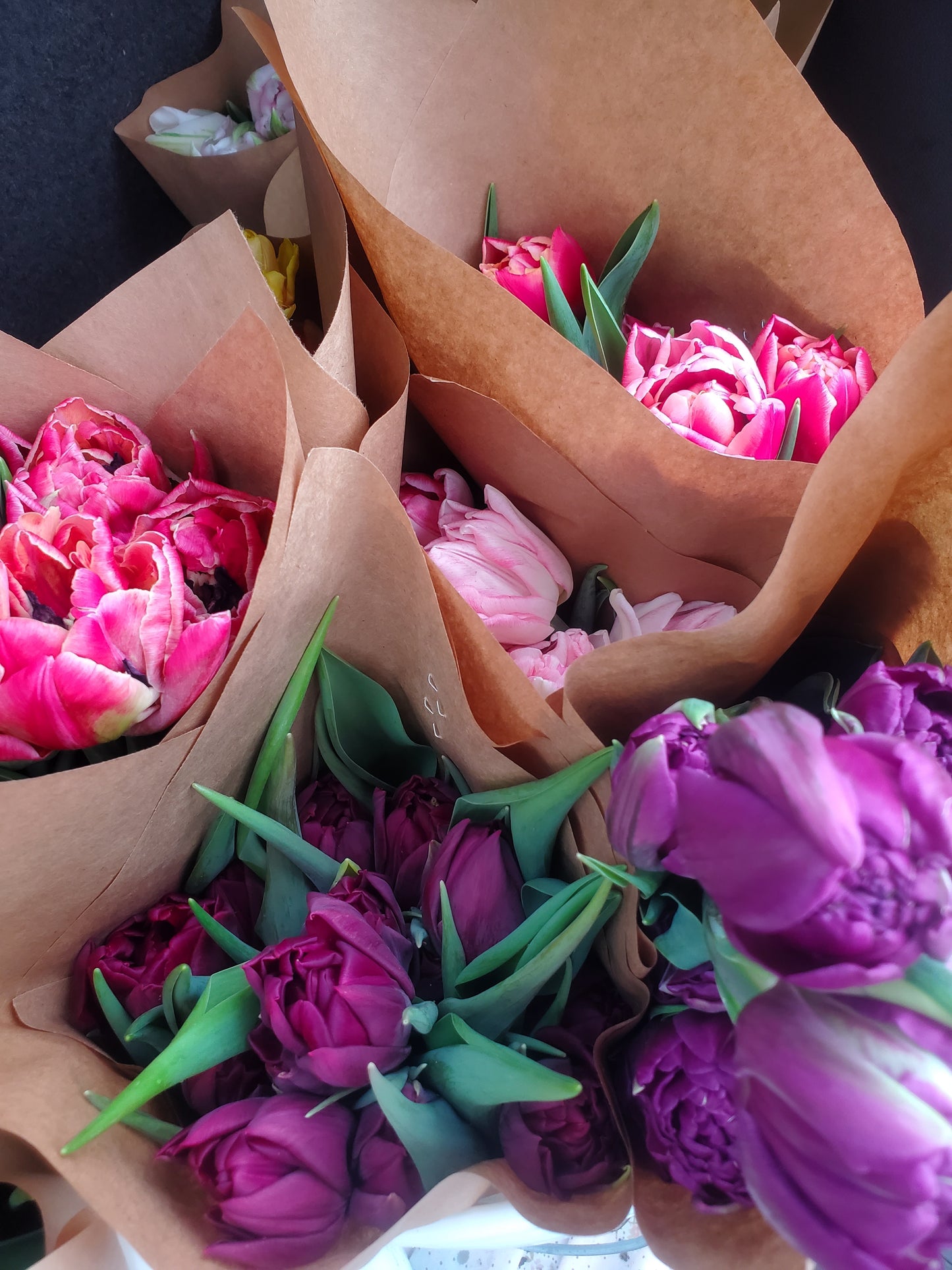 Winter Tulip CSA Subscription