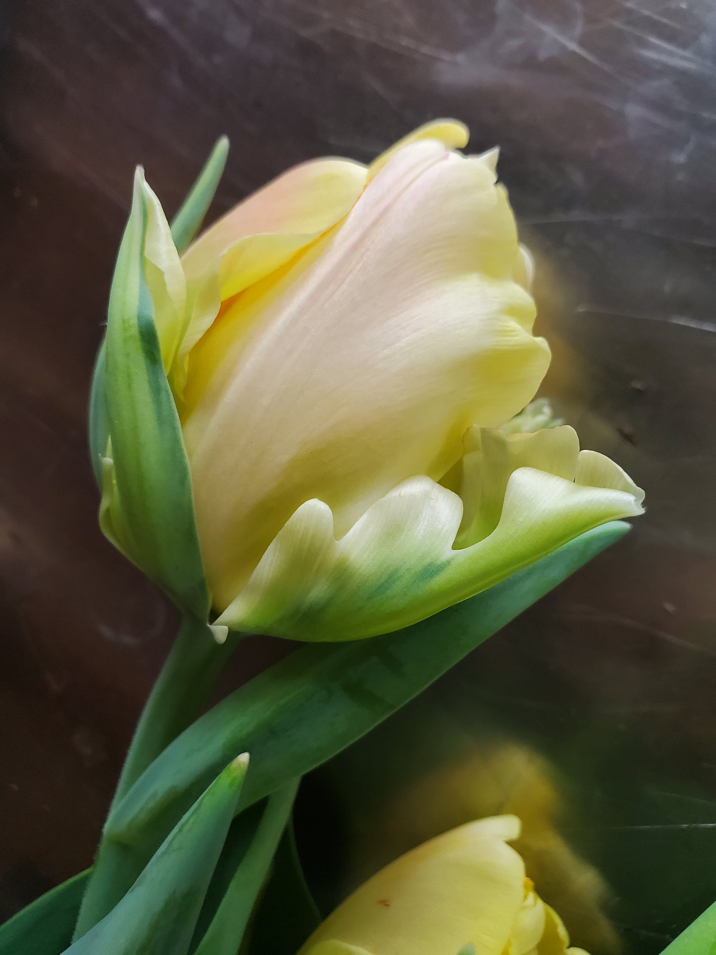First Blooms CSA Subscription