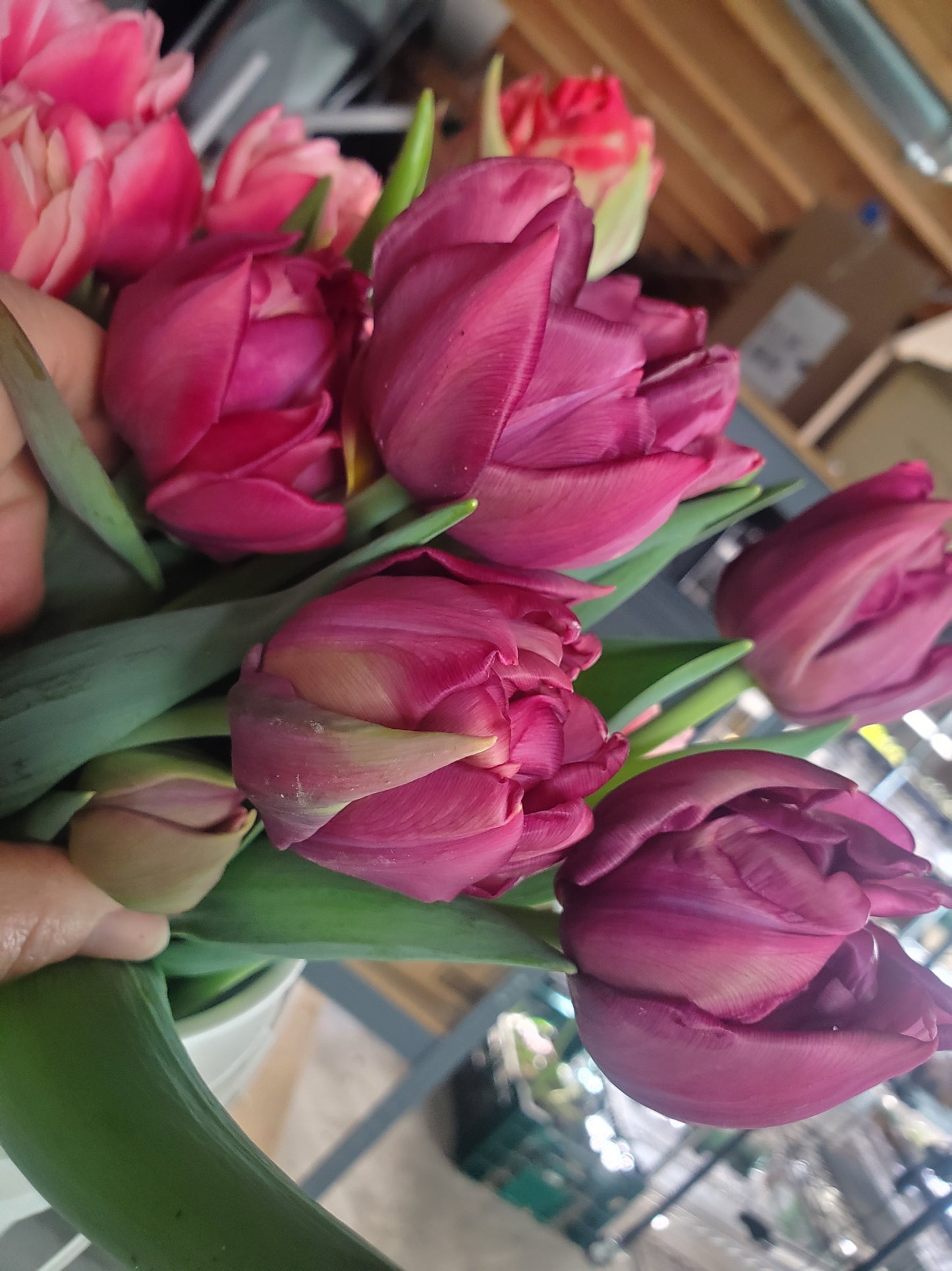 First Blooms CSA Subscription