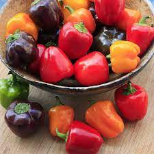 Mini Bell Pepper