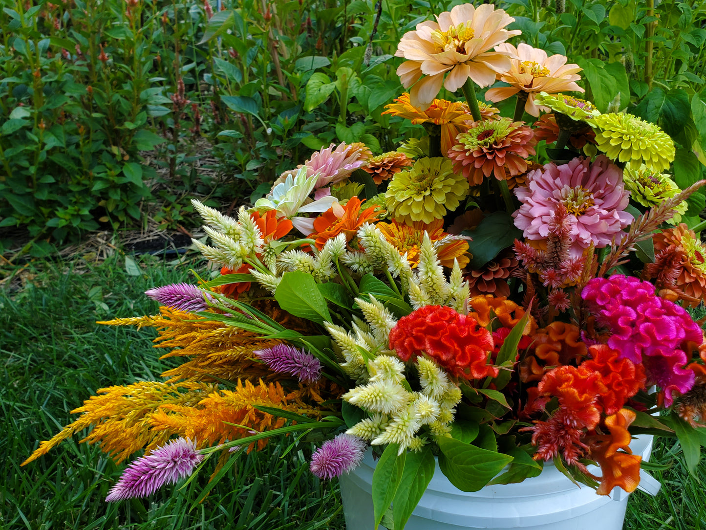 Fall Floral CSA Subscription
