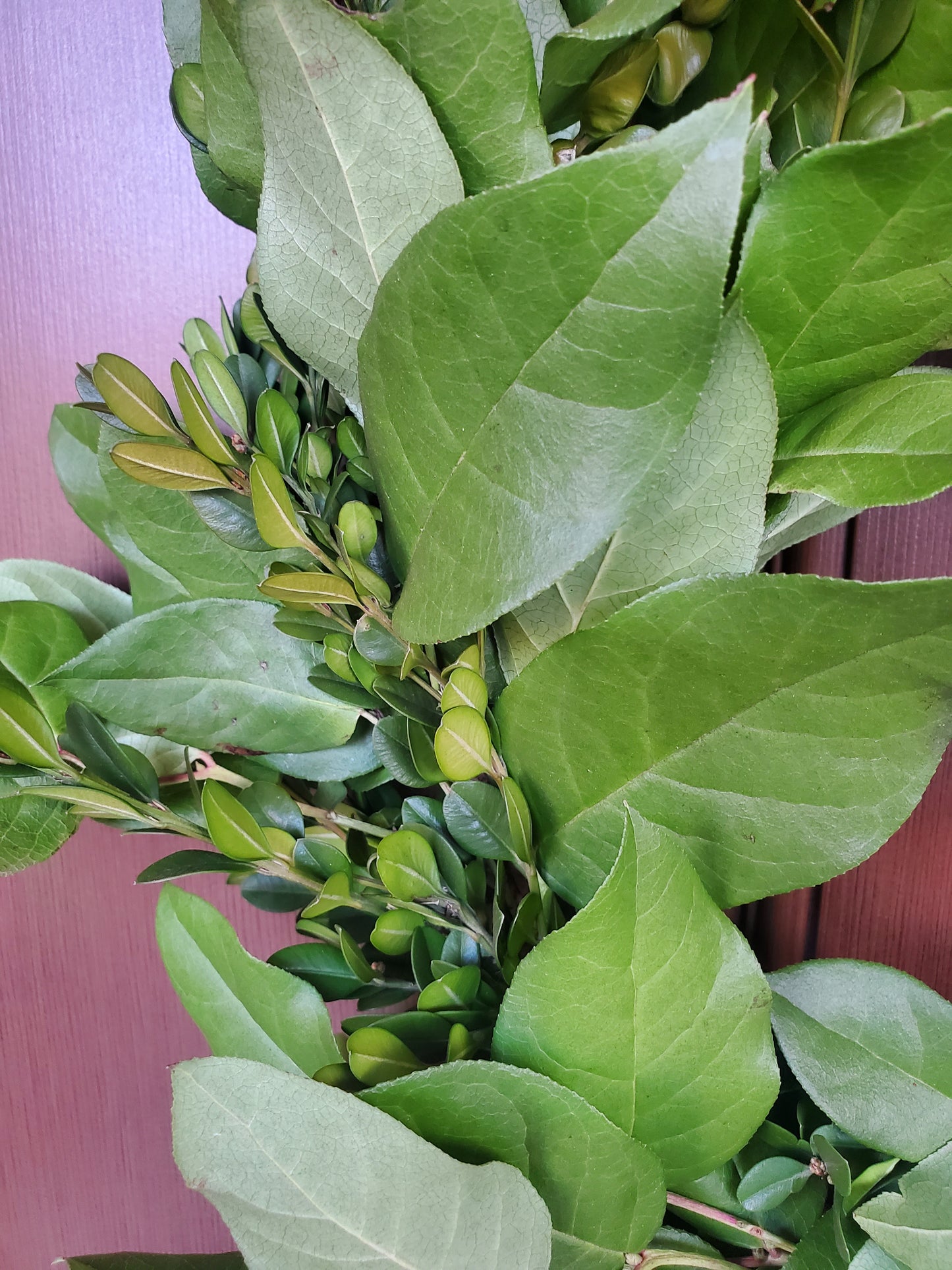 Wreath Making Workshop - PFC Dec 4