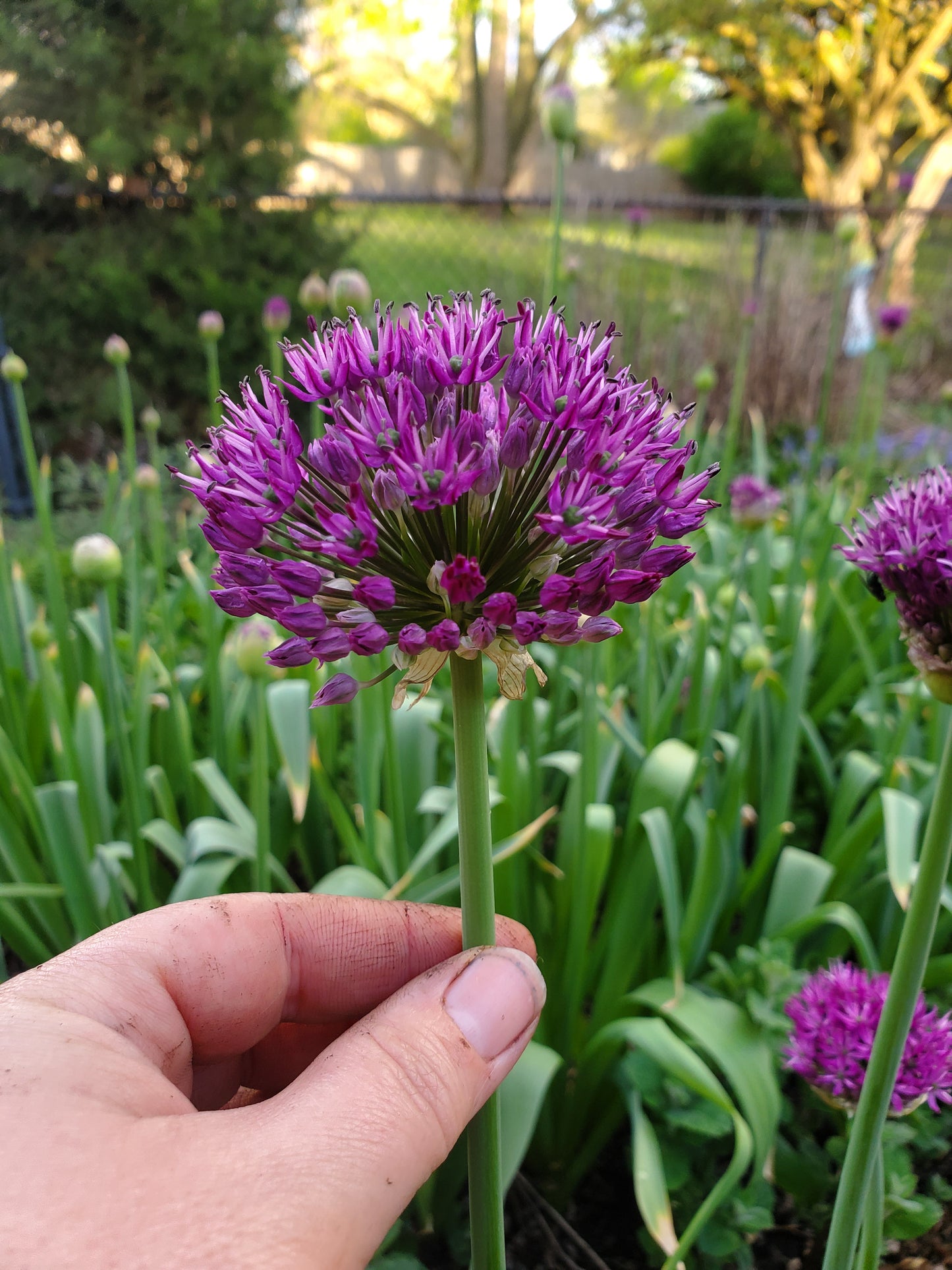 Spring Floral CSA Subscription