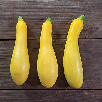 Butterfingers Yellow Squash