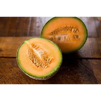 Cantaloupe - Hale's Best Melon