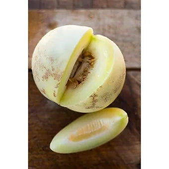 Honeycomb Honeydew