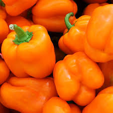 Orange Sun Bell Pepper
