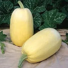 Spaghetti Squash