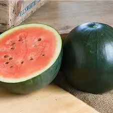 Sugar Baby Watermelon