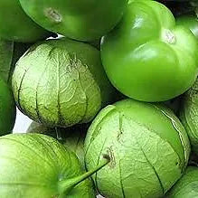 Tomatillo