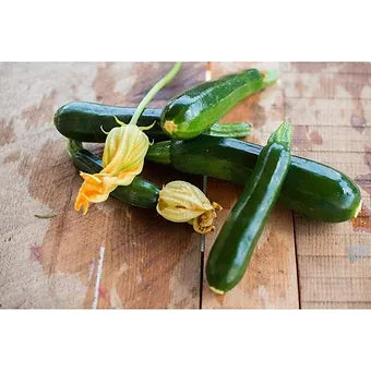 Zucchini